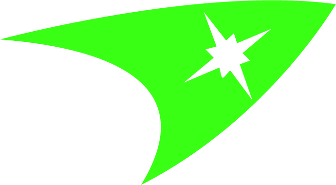 Stand Out Logo